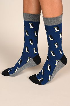 גרביים כחולים עם פינגווינים